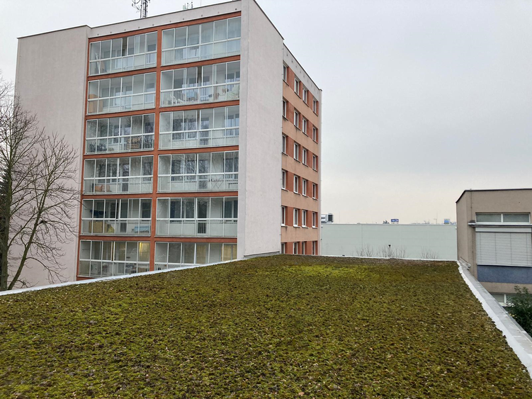 domov mládeže od východu (6. až 2.patro), foceno ze střechy jídelny, v pozadí bílá hala Decathlonu, vpravo budova teorie